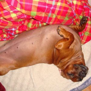 Meet your Posher, Esther